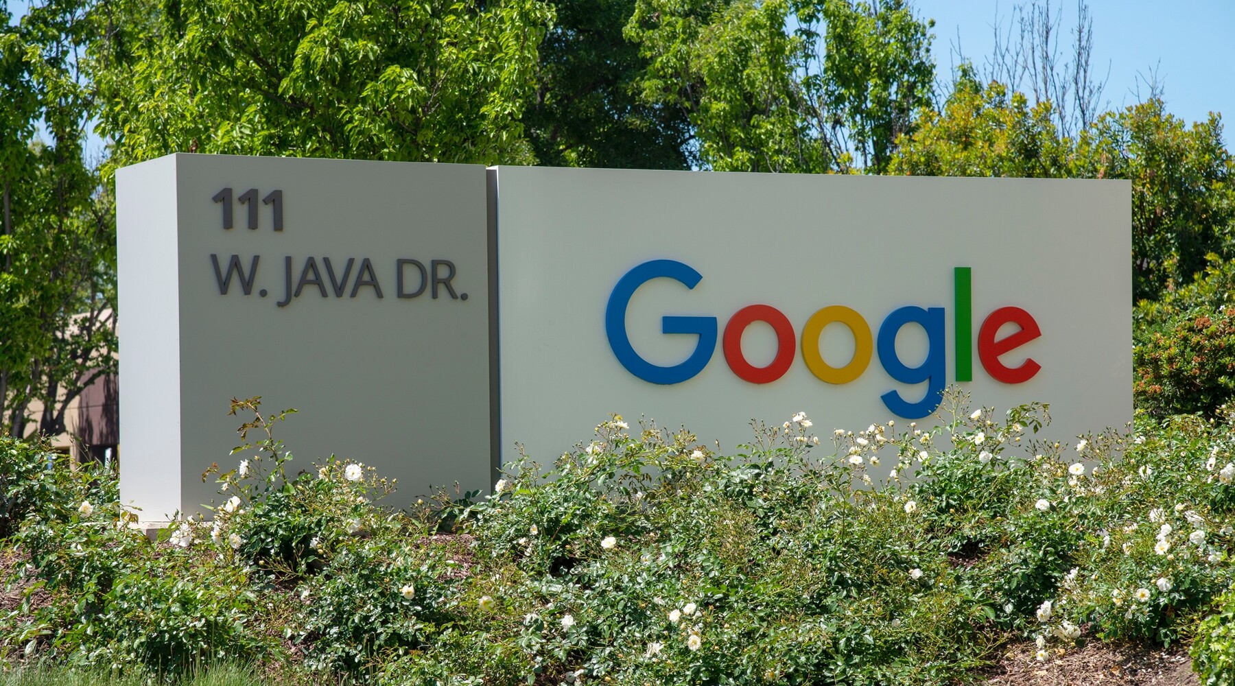 Google Şirketi